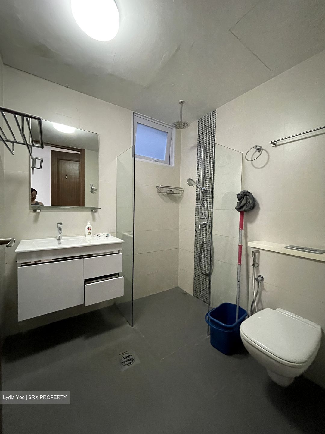 Central Imperial (D14), Apartment #541081181